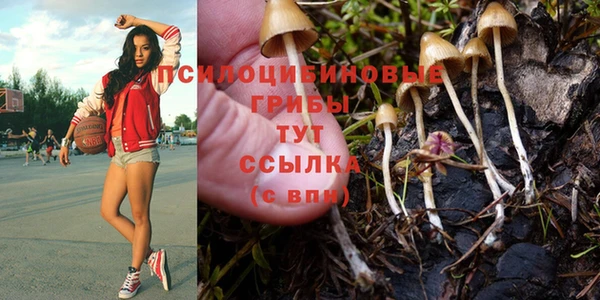 экстази Беломорск