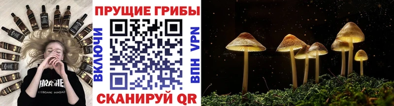 Галлюциногенные грибы Magic Shrooms  купить наркоту  Костомукша 